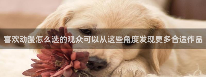 动漫网网址大全
