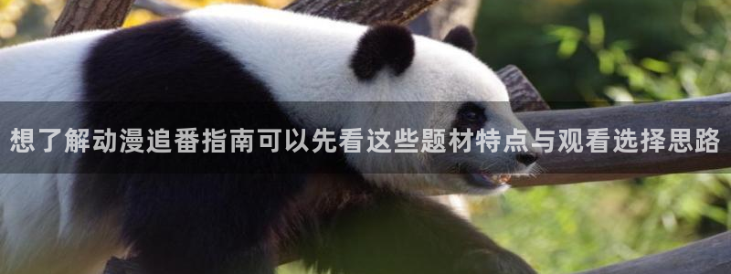 高分动漫