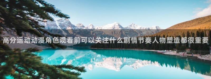 动漫查找