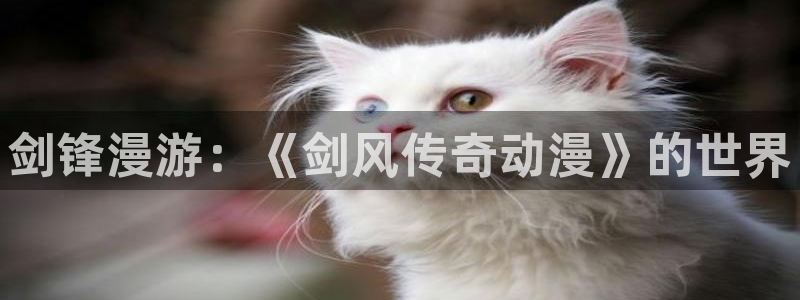 动漫作品大全