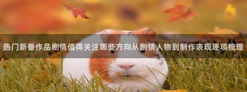 最新动漫排行