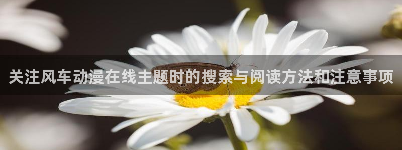 国产动漫大全