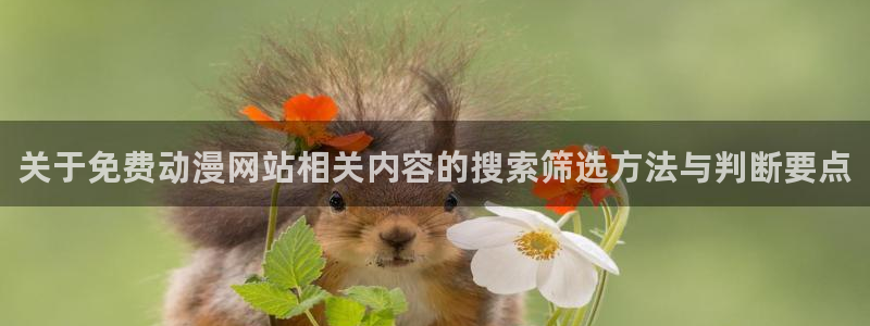 动漫最新更新