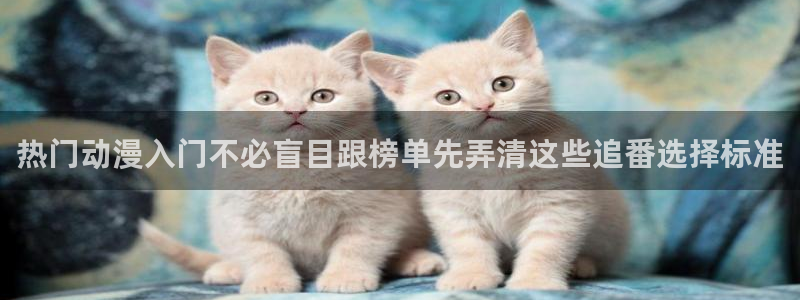 完结动漫