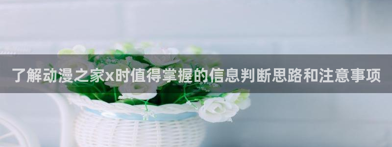动漫搜索