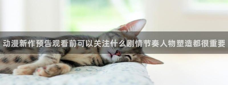 动漫在线观看网站