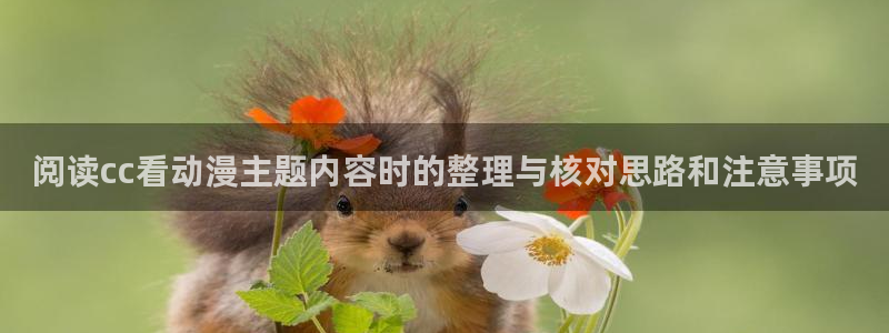 动漫收藏榜
