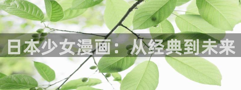 动漫完结