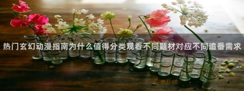 每日新番