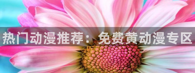 动漫推荐网