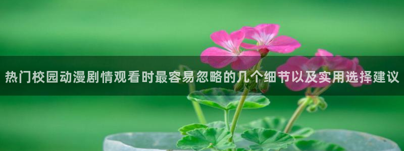 最新新番