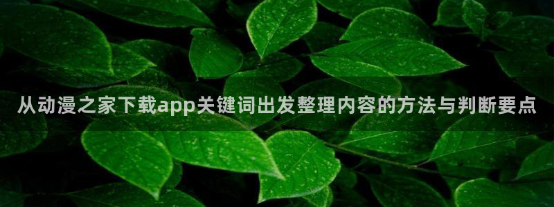 国漫大全